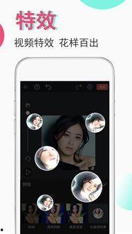 视频豆豆,趣味横生的日常瞬间