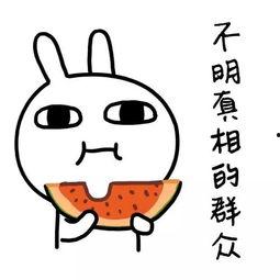 娱乐吃瓜群名称大全搞笑,笑料横生！揭秘娱乐吃瓜群名称大全的搞笑魅力